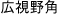 広視野角